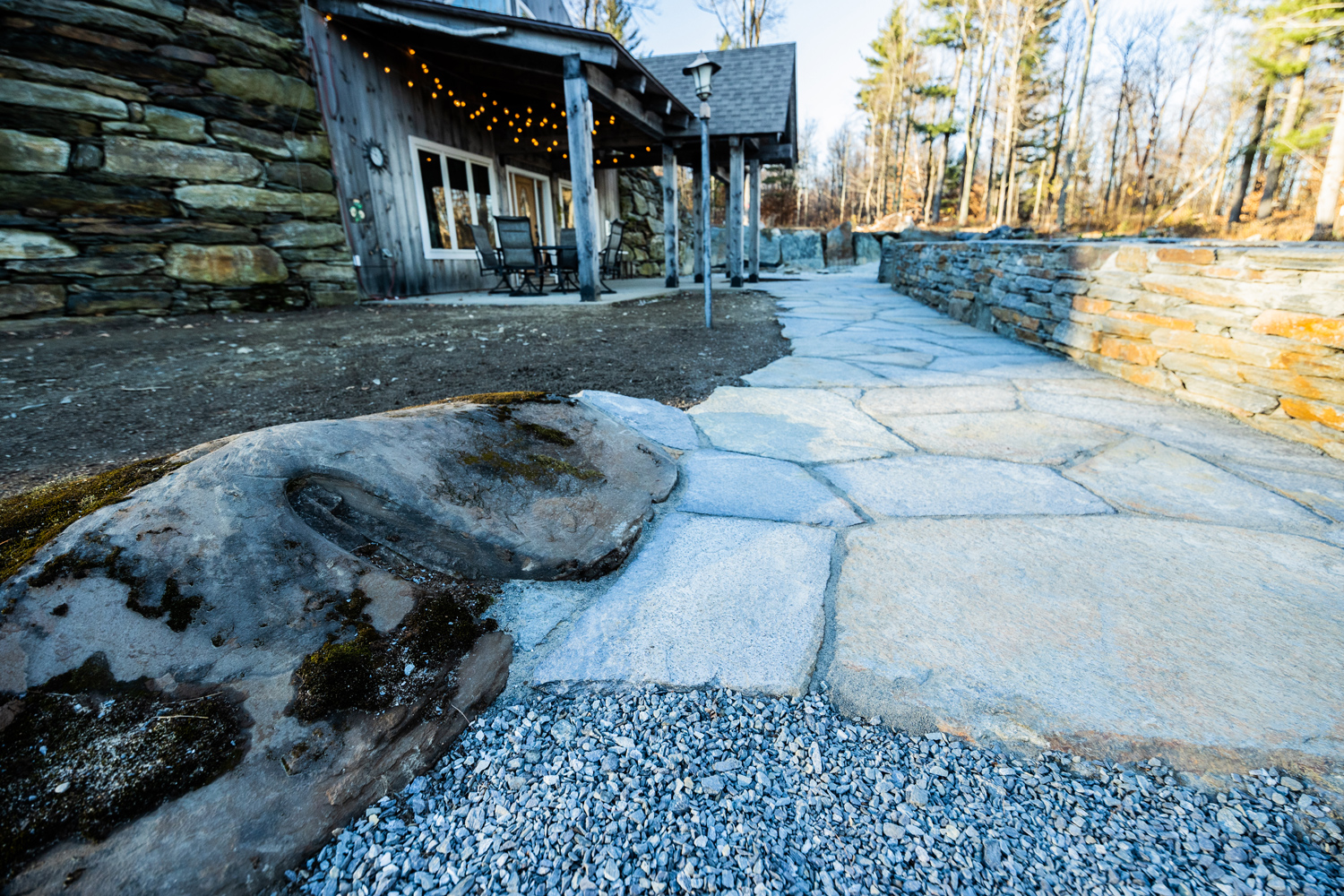 Featured Project: Forgotten Forest