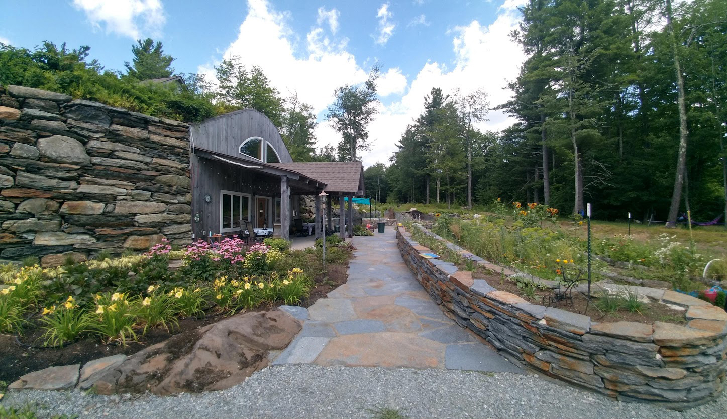 Featured Project: Forgotten Forest