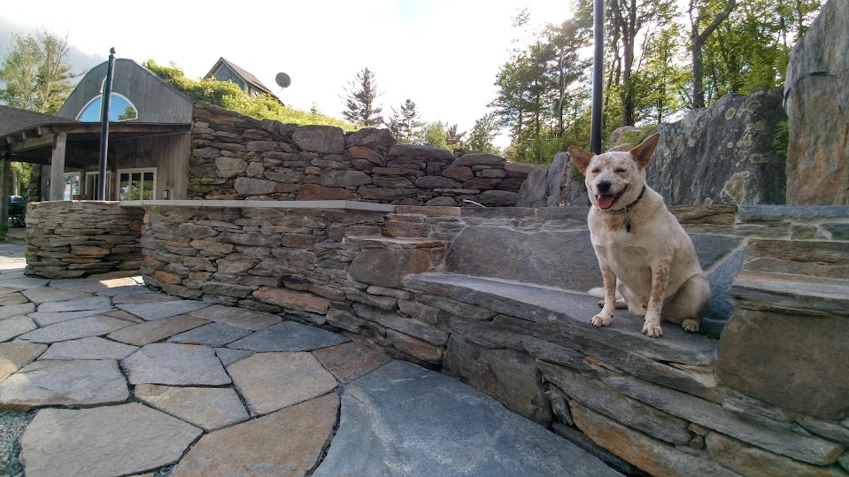 Featured Project: Forgotten Forest